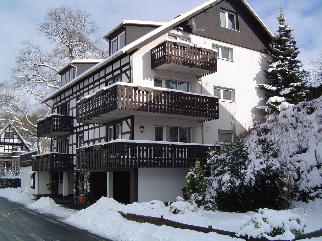 Ferienhaus Hedrich Assinghausen エクステリア 写真